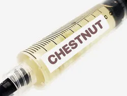 Chestnut Mushroom Liquid Culture -- 10 cc Syringe